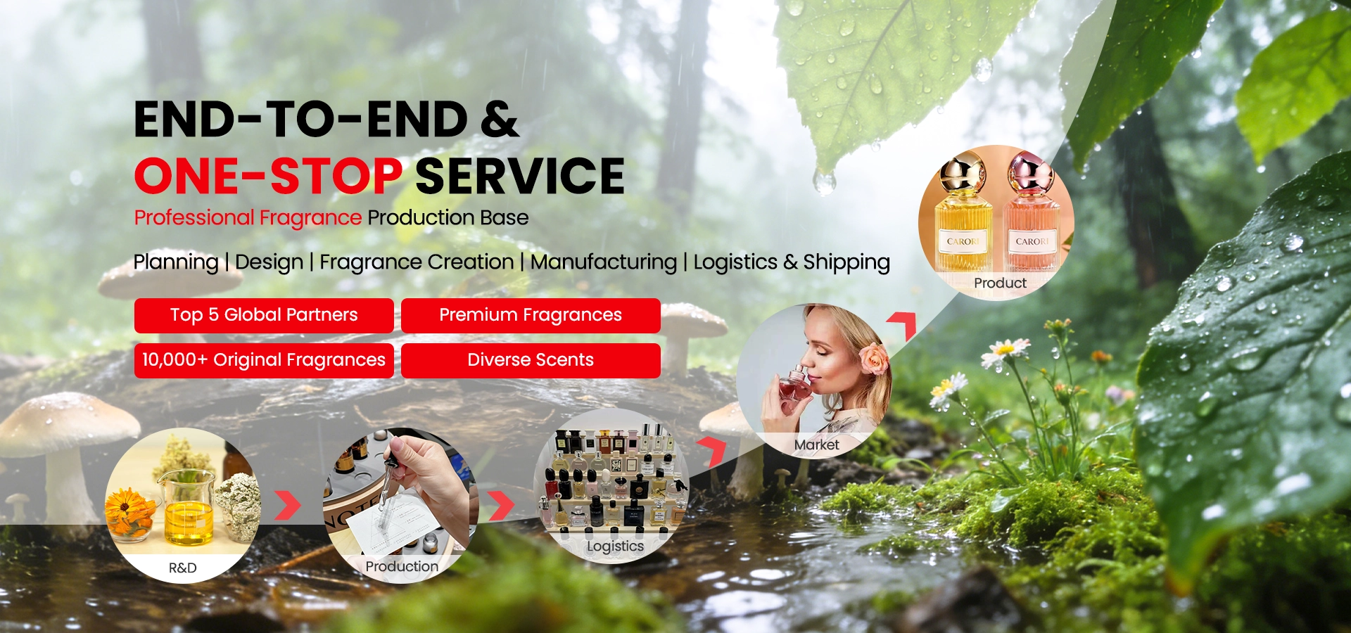 8a8d1bd243edfb5d679a3db6bb3a79ab