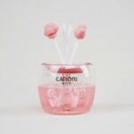 CARORI Cat Claw Series Air Freshener