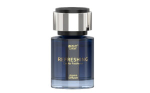 car hanging air freshener