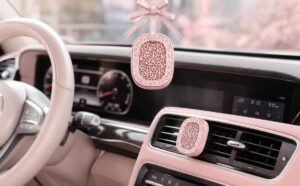 car air fresheners