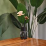 luxury reed diffuser factory