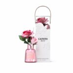 Aroma Reed Diffuser Manufacturer for Custom OEM Fragrance - Image 3