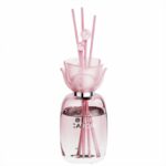 China Reed Diffuser Factory - Image 4