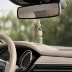 CARORI IF-030 Hanging Car Air Freshener - Image 6