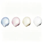 Shell Car Aromatherapy Vent Clip