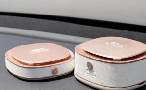 Fragrance Balm