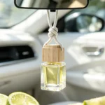 CARORI IF-026 Hanging Car Air Freshener